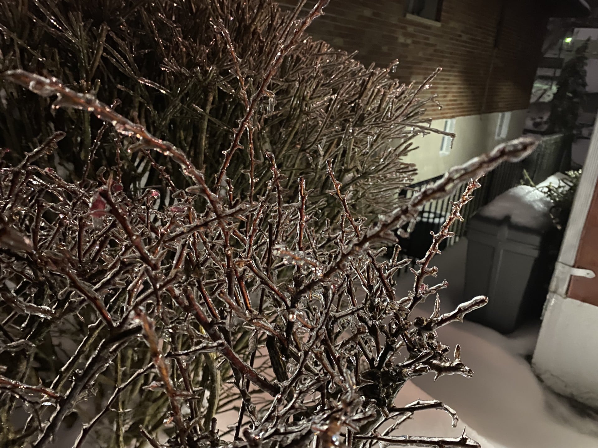 Statewide Weather Roundup