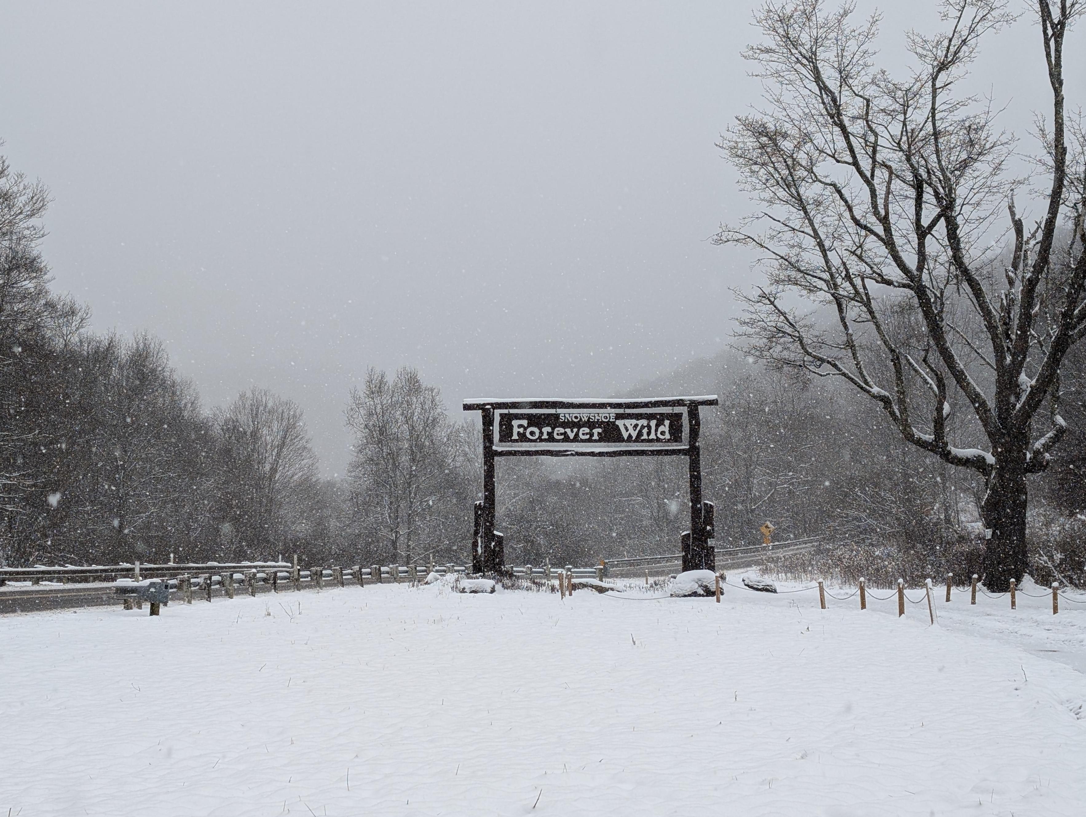 Talkline for Friday, November 22, 2024