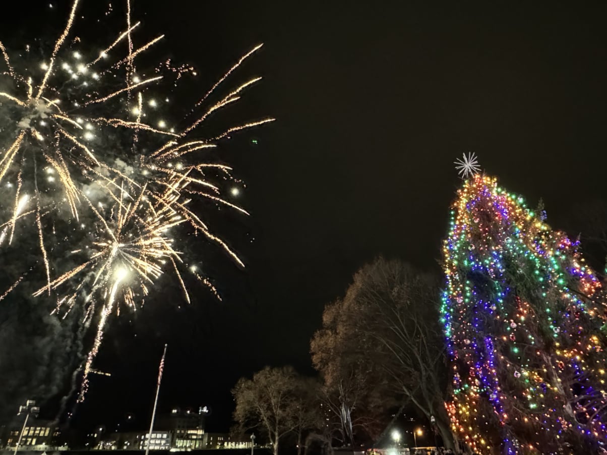 Chris Lawrence on Charleston Christmas Tree
