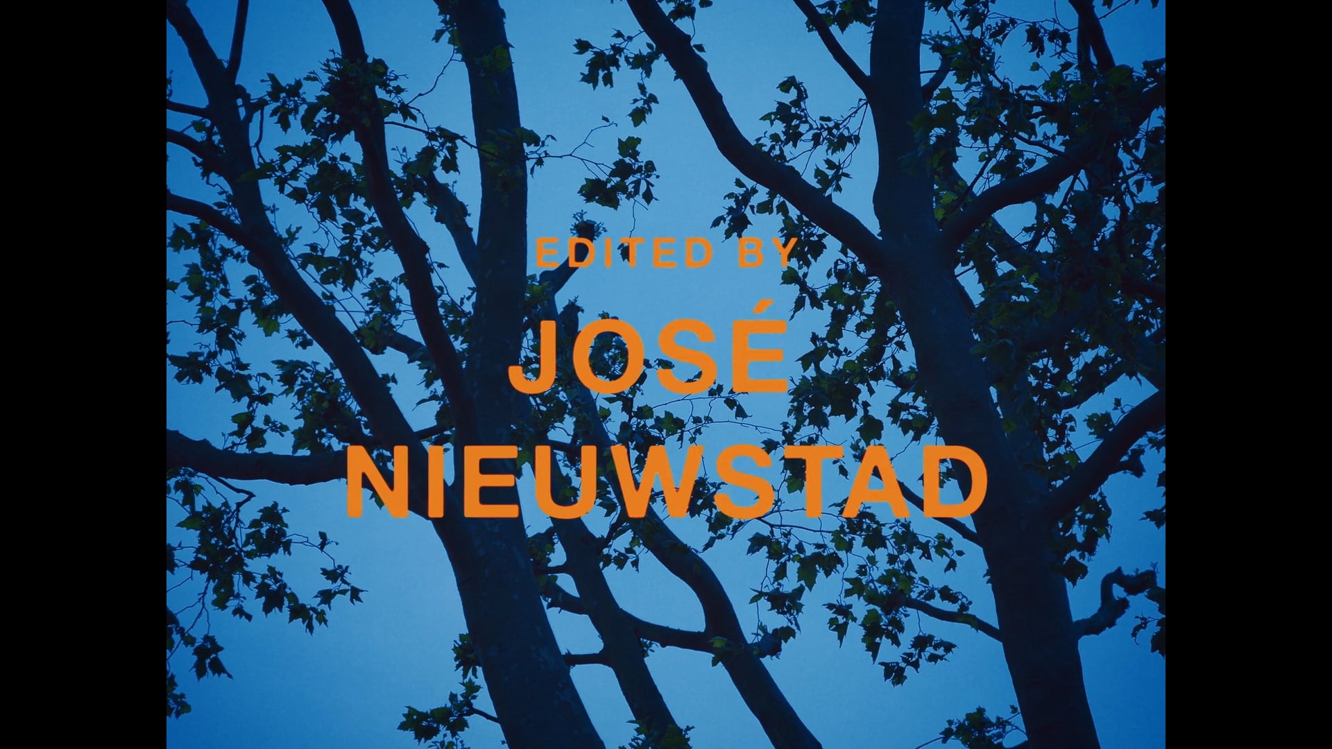 OF PETS & DINNER _ 65th International Short Film Festival Oberhausen _ Dark Come