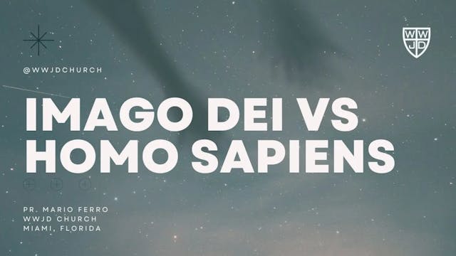 IMAGO DEI VS HOMO SAPIENS | SERIE EL ...