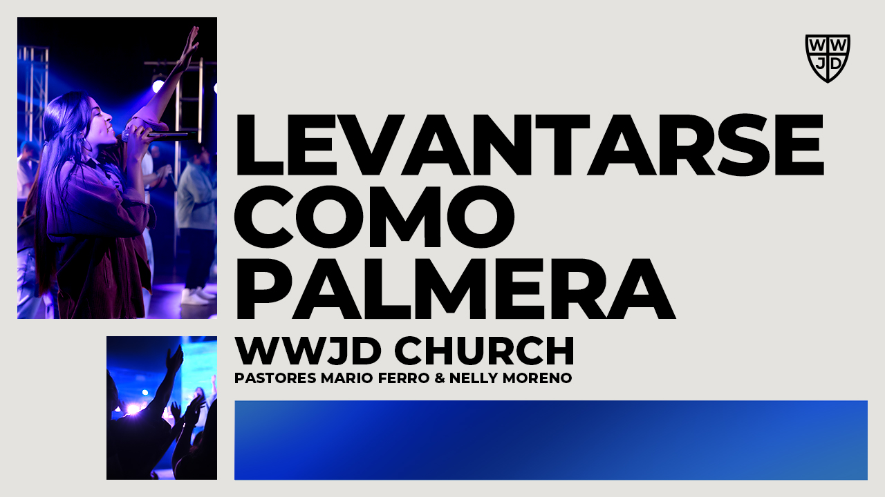 LEVANTARSE COMO PALMERA | 06-01-2025