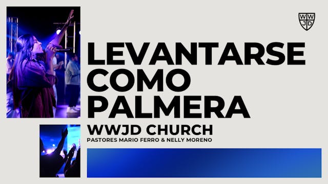 LEVANTARSE COMO PALMERA | 06-01-2025