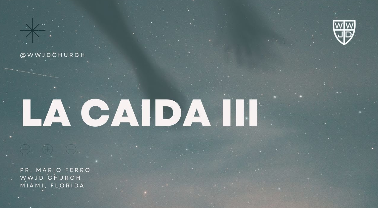 LA CAIDA III | SERIE EL HOMBRE | 08-06-2023