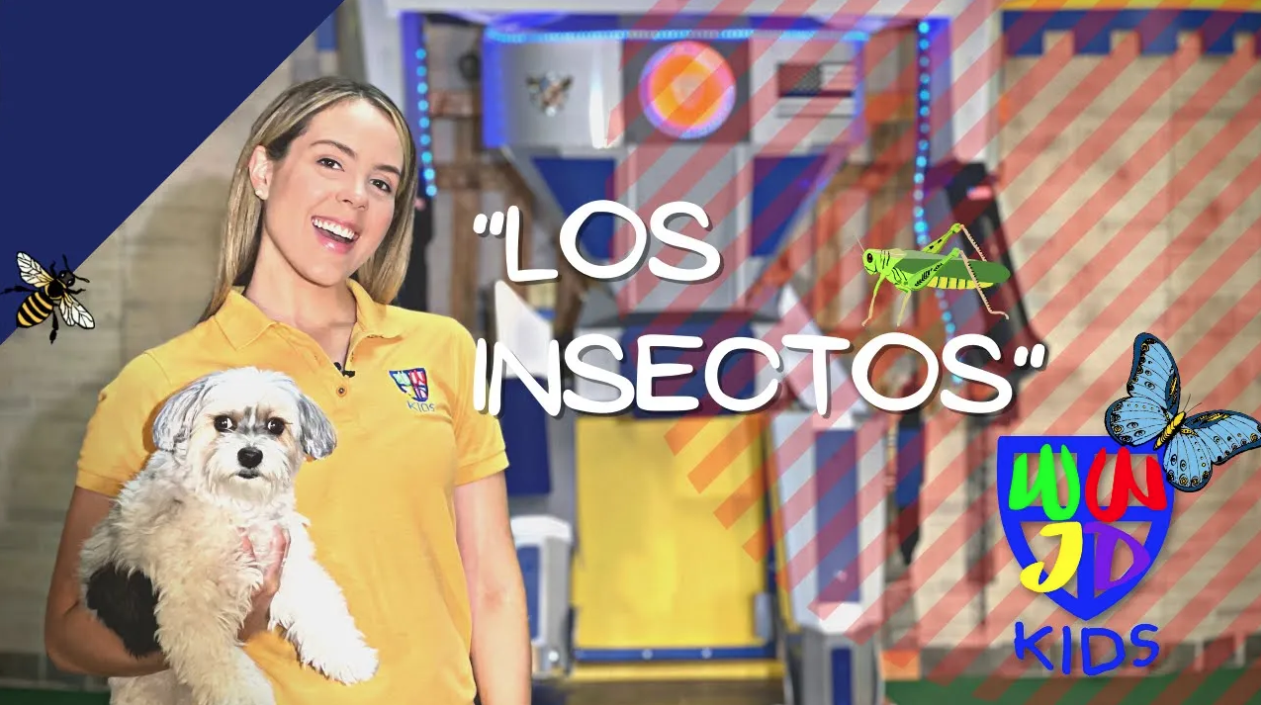 LOS INSECTOS | APRENDE CON LA BIBLIA