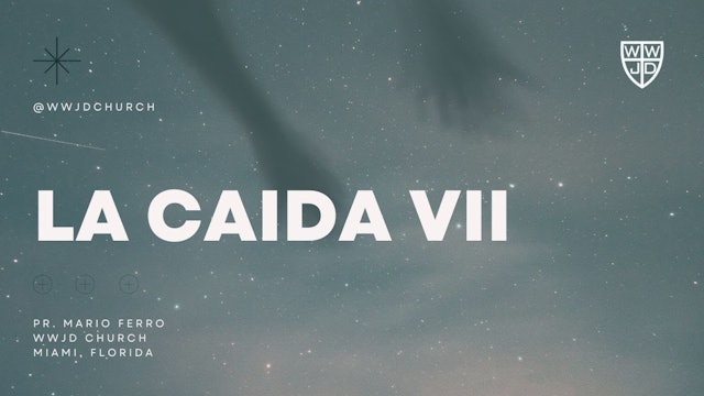 LA CAIDA VII | SERIE EL HOMBRE | 09-03-2023