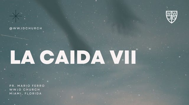 LA CAIDA VII | SERIE EL HOMBRE | 09-0...
