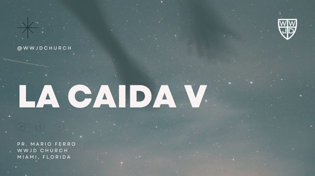 LA CAIDA V | SERIE EL HOMBRE | 08-19-...