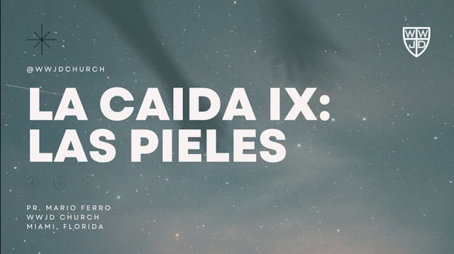 LA CAIDA IX: LAS PIELES | SERIE EL HO...