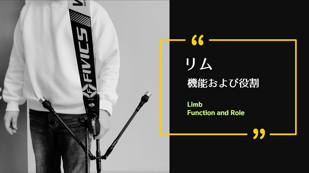 [LIMB] FUNCTION AND ROLE OF THE LIMB