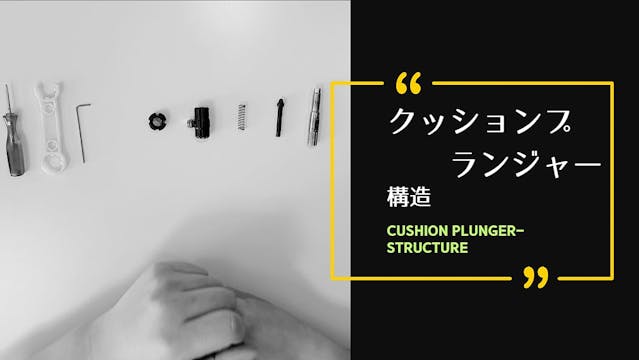 [CUSHION] CUSHION PLUNGER STRUCTURE