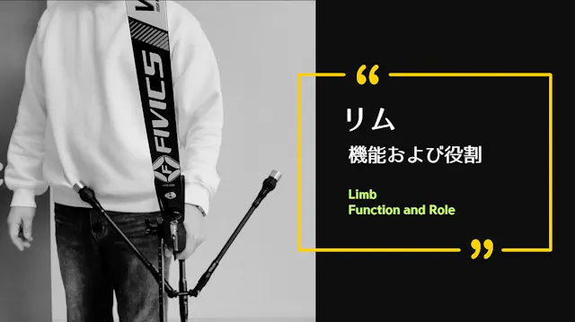 [LIMB] FUNCTION AND ROLE OF THE LIMB