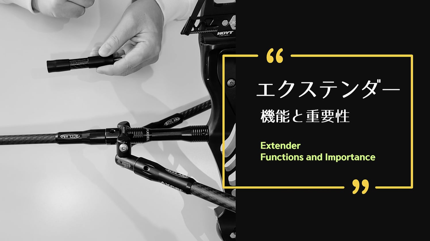 [STABILIZER] EXTENDER - FUNCTION AND IMPORTANCE