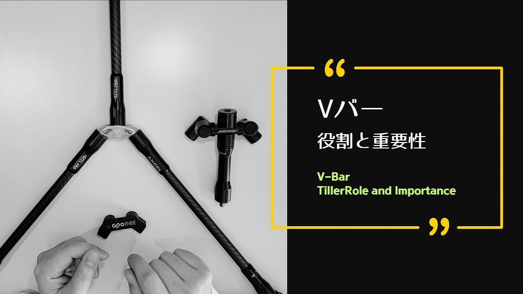 [STABILIZER] ROLE AND IMPORTANCE OF THE V-BAR