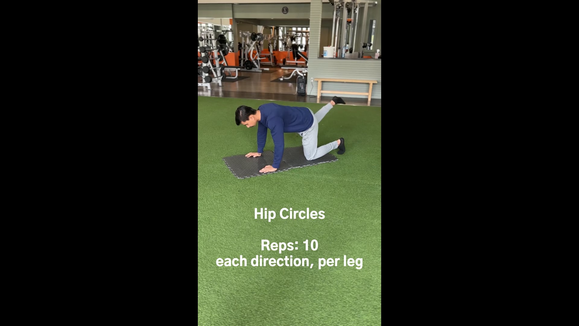 Hip Circles