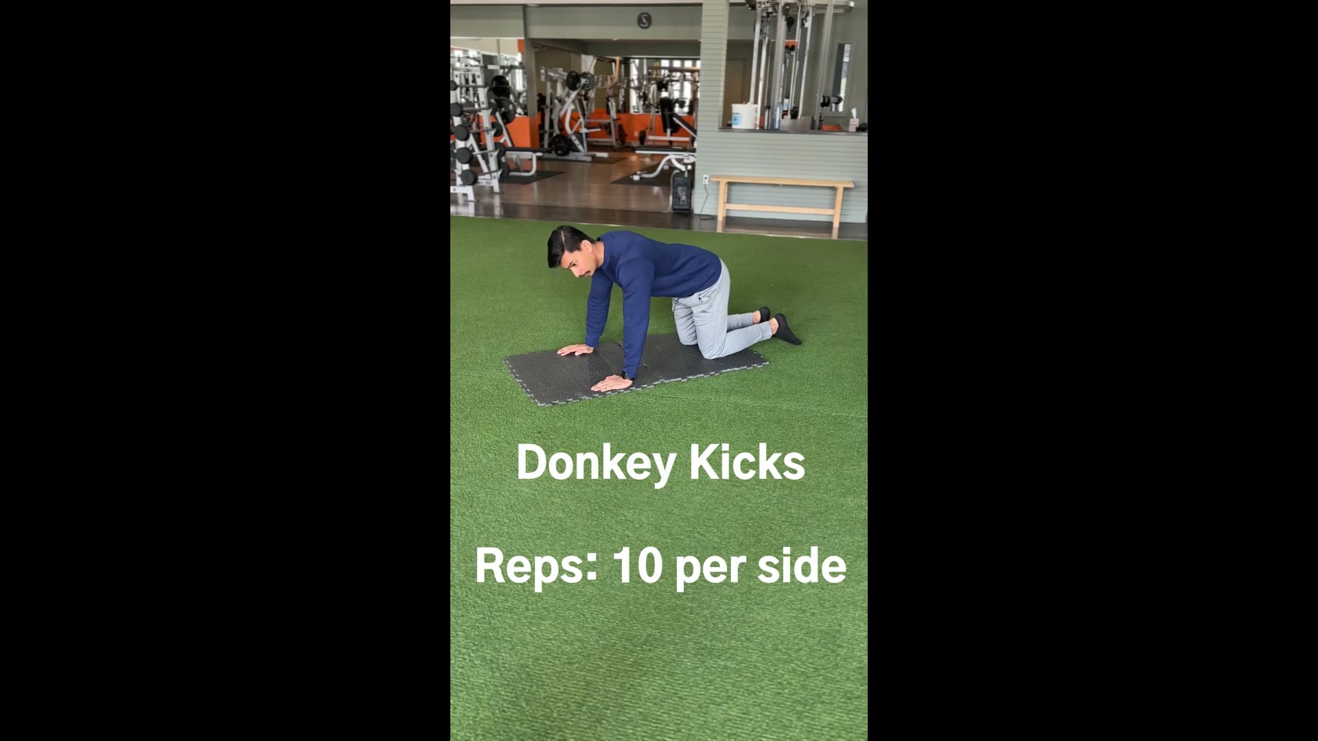 Donkey Kicks