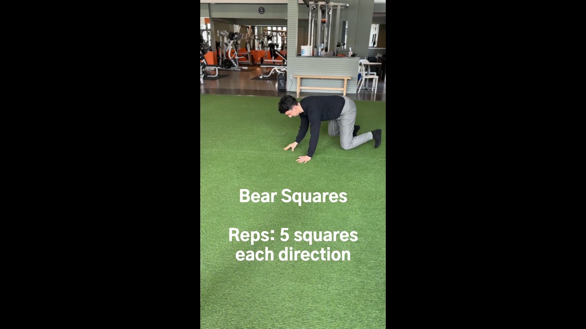 Bear Squares