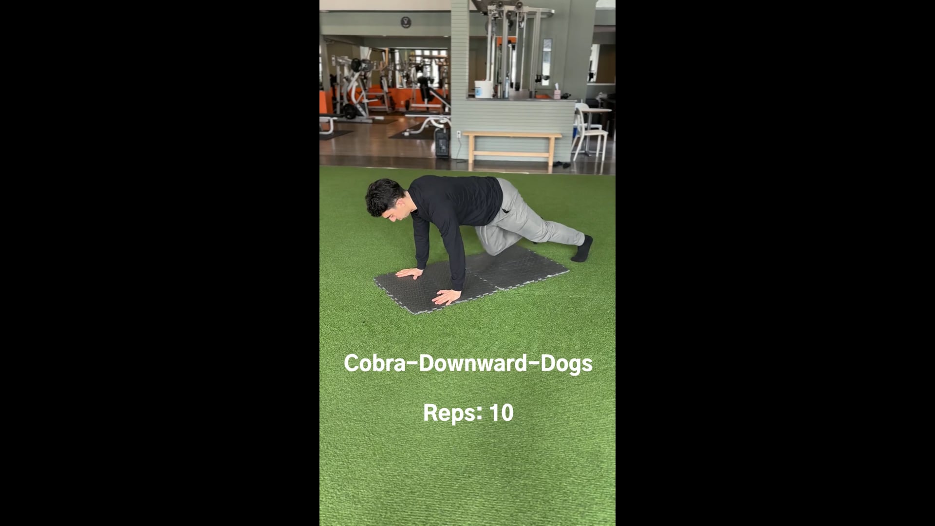Cobra-Downward-Dog