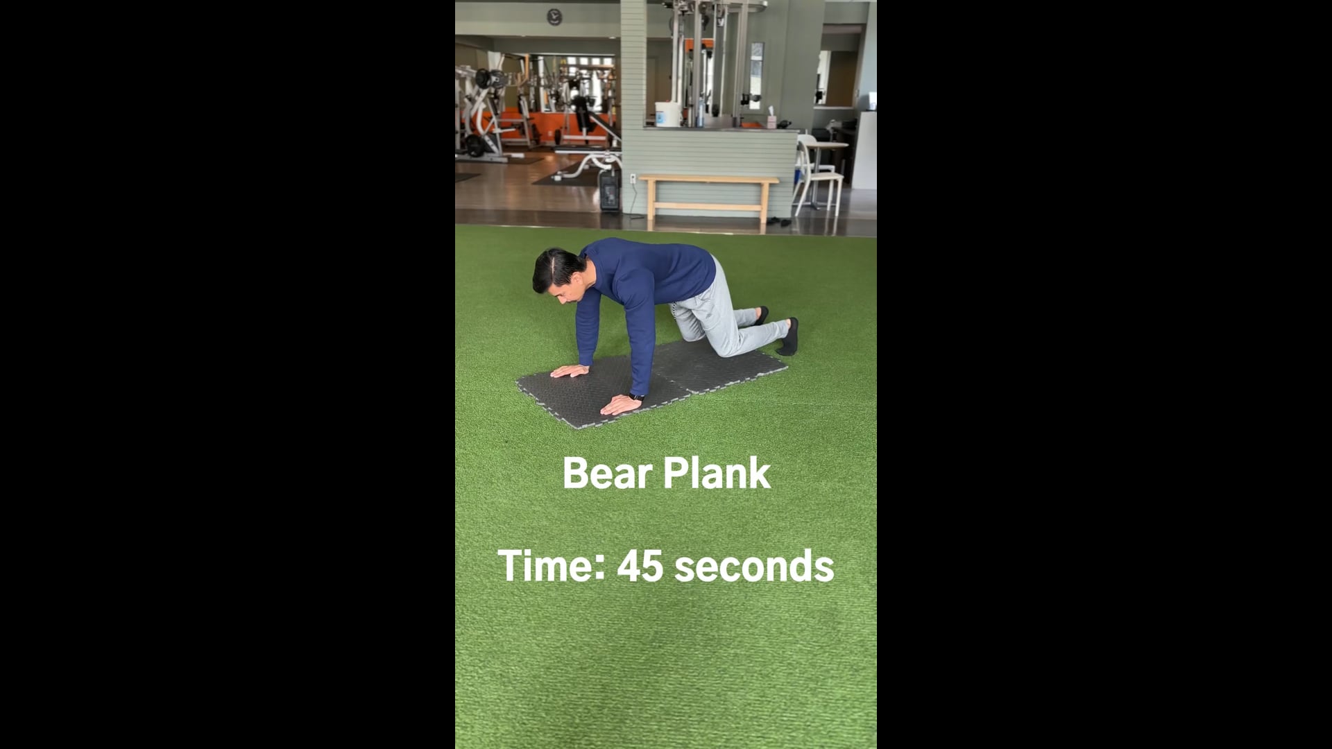 Bear Plank