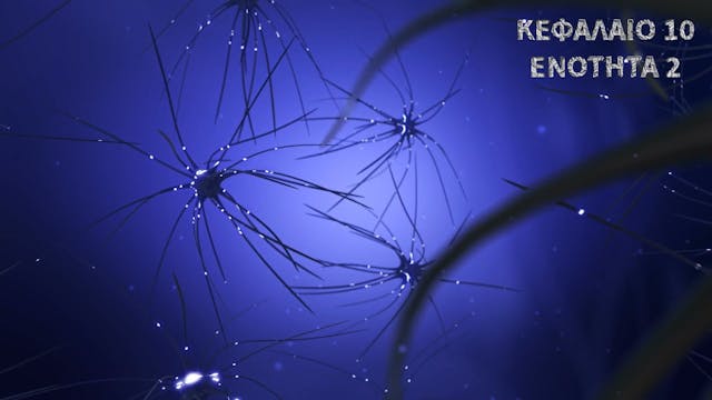 Κεφάλαιο 10.2 - Πρότυπα μεμβρανικών πρωτεϊνών