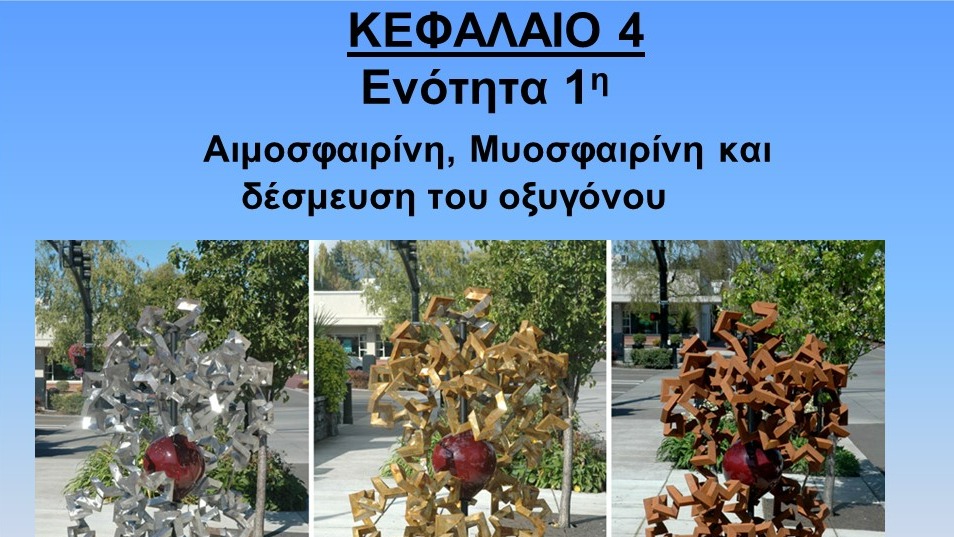Unit 4.1 - Αιμοσφαιρίνη, μυοσφαιρίνη και δέσμευση του οξυγόνου