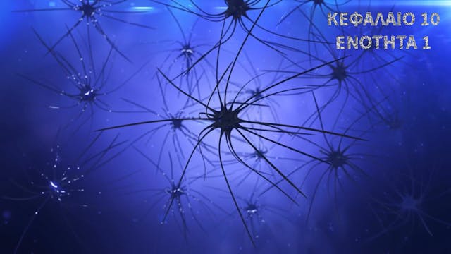 Κεφάλαιο 10.1- Μεμβρανικοί δίαυλοι και αντλίες - Ενεργός-Παθητική μεταφορά.