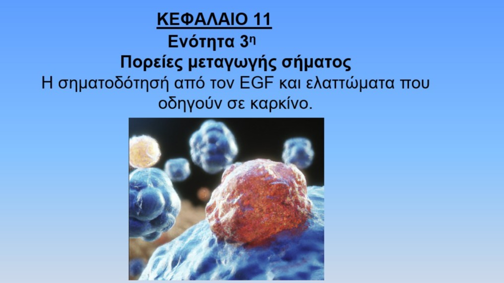Unit 11.3 -Η-σηματοδότησή απo τον EGF και ελαττώματα που οδηγούν σε καρκίνο