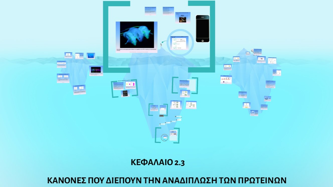Unit 2.3 - Κανόνες που διέπουν την αναδίπλωση των πρωτεϊνών