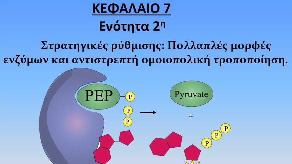 Unit-7.2---Πολλαπλές-μορφές-ενζύμων-και-ομοιοπολική-τροποποίηση.pdf