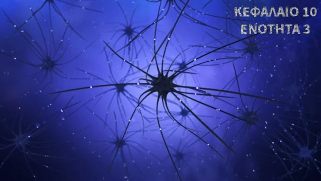 Κεφάλαιο 10.3-Ιοντικοί δίαυλοι &δυναμικό ενέργειας