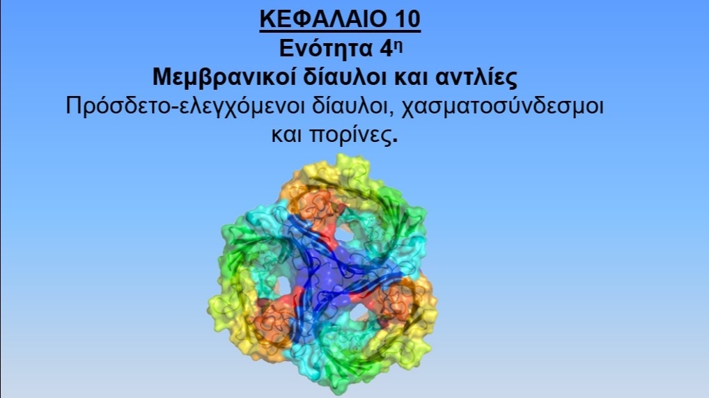 Unit-10.4--Πρόσδετο-ελεγχόμενοι δίαυλοι, χασματοσύνδεσμοι και πορίνες