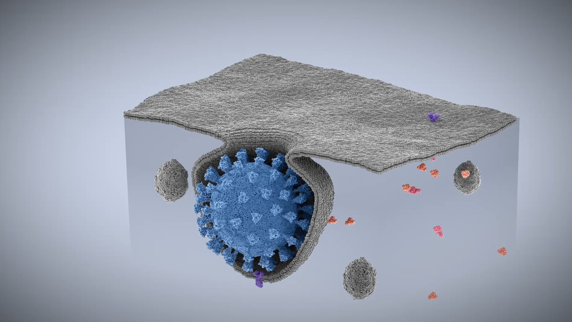 Α3 ΜΕΡΟΣ - Πακέτο Σεμιναρίων Βιοχημείας Ι