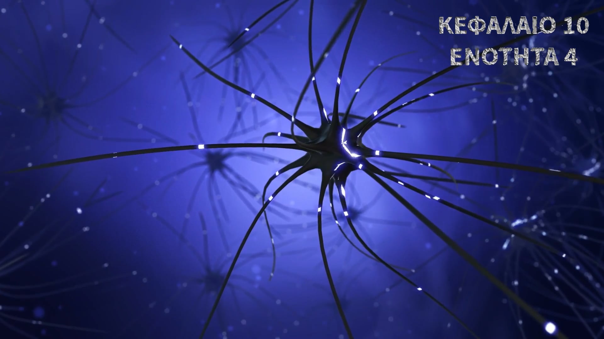 Κεφάλαιο 10.4 - Πρόσδετο-ελεγχόμενοι δίαυλοι , χασματοσυνδέσεις και πορίνες