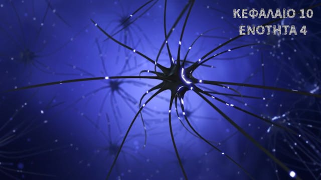 Κεφάλαιο 10.4 - Πρόσδετο-ελεγχόμενοι δίαυλοι , χασματοσυνδέσεις και πορίνες