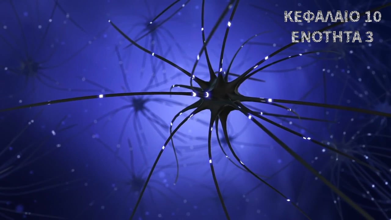 Κεφάλαιο 10.3- Ιοντικοί δίαυλοι και δυναμικό ενέργειας.