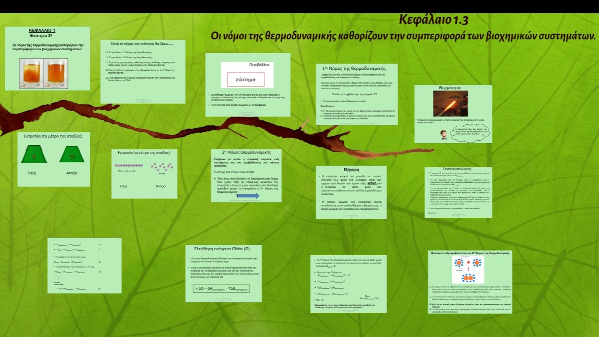 Unit 1.3 - Οι νόμοι της θερμοδυναμικής καθορίζουν την συμπεριφορά των συστημάτων