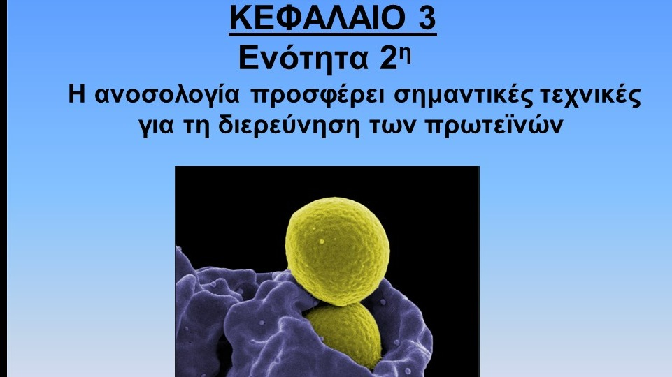 Unit 3.2 - Η ανοσολογία προσφέρει τεχνικές για τη διερεύνηση των πρωτεϊνών.