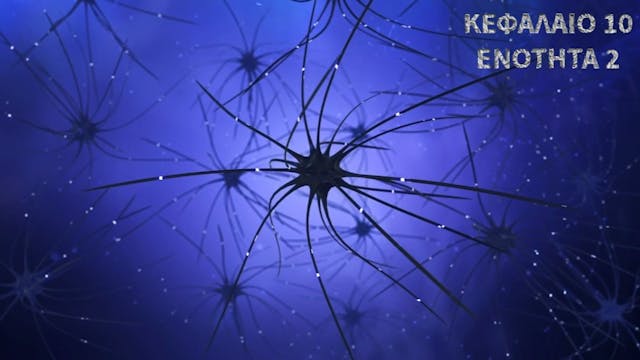 Κεφάλαιο 10.2 - Πρότυπα Μεμβρανικών πρωτεϊνών