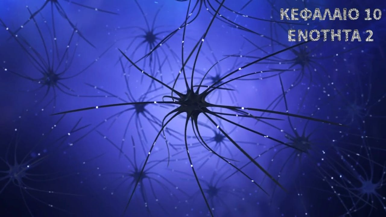 Κεφάλαιο 10.2 - Πρότυπα Μεμβρανικών πρωτεϊνών
