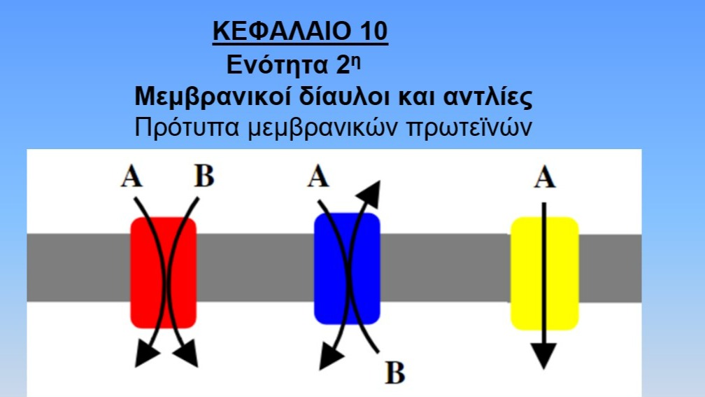 Unit-10.2--Πρότυπα μεμβρανικών πρωτεινών