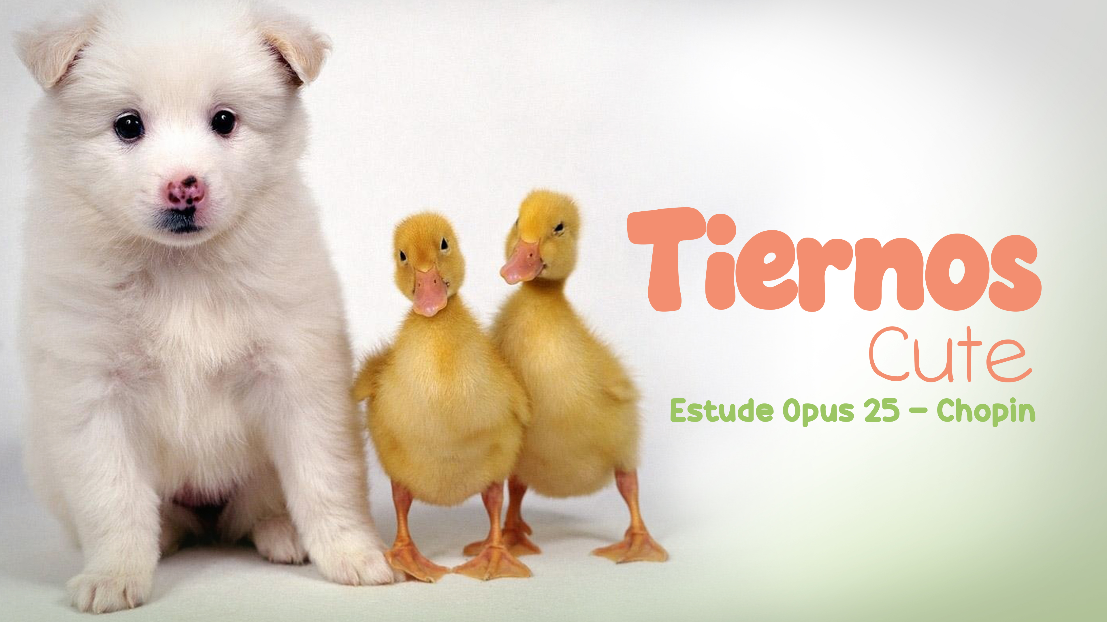 CUTE - Etude Opus 25 - Chopin