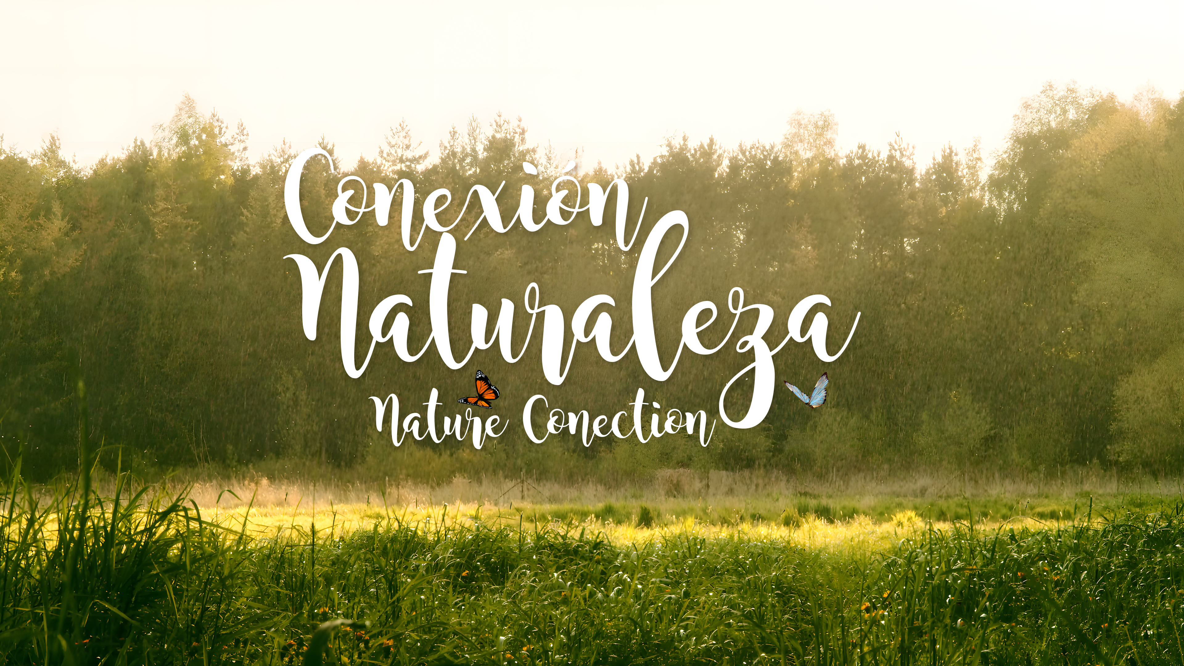 Nature Connection