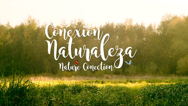 Nature Connection