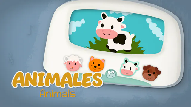 Animals