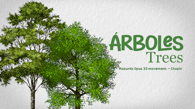 TREES - Mazurka Opus 33 movement - Ch...