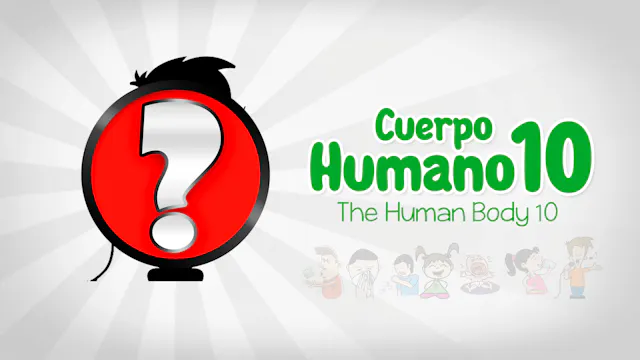The Human Body 10