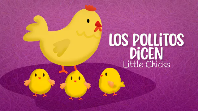 Little Chicks