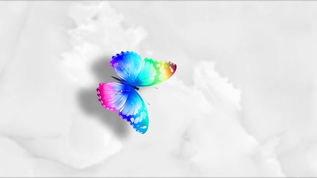 19 Sonata 10 en C - 2do mov (mariposas)