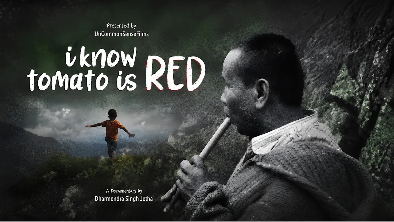 I Know Tomato Is Red