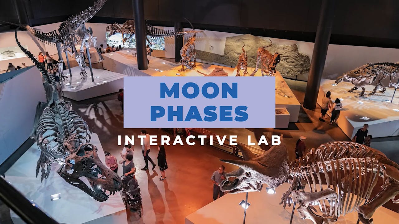 HMNS Labs: Moon Phases
